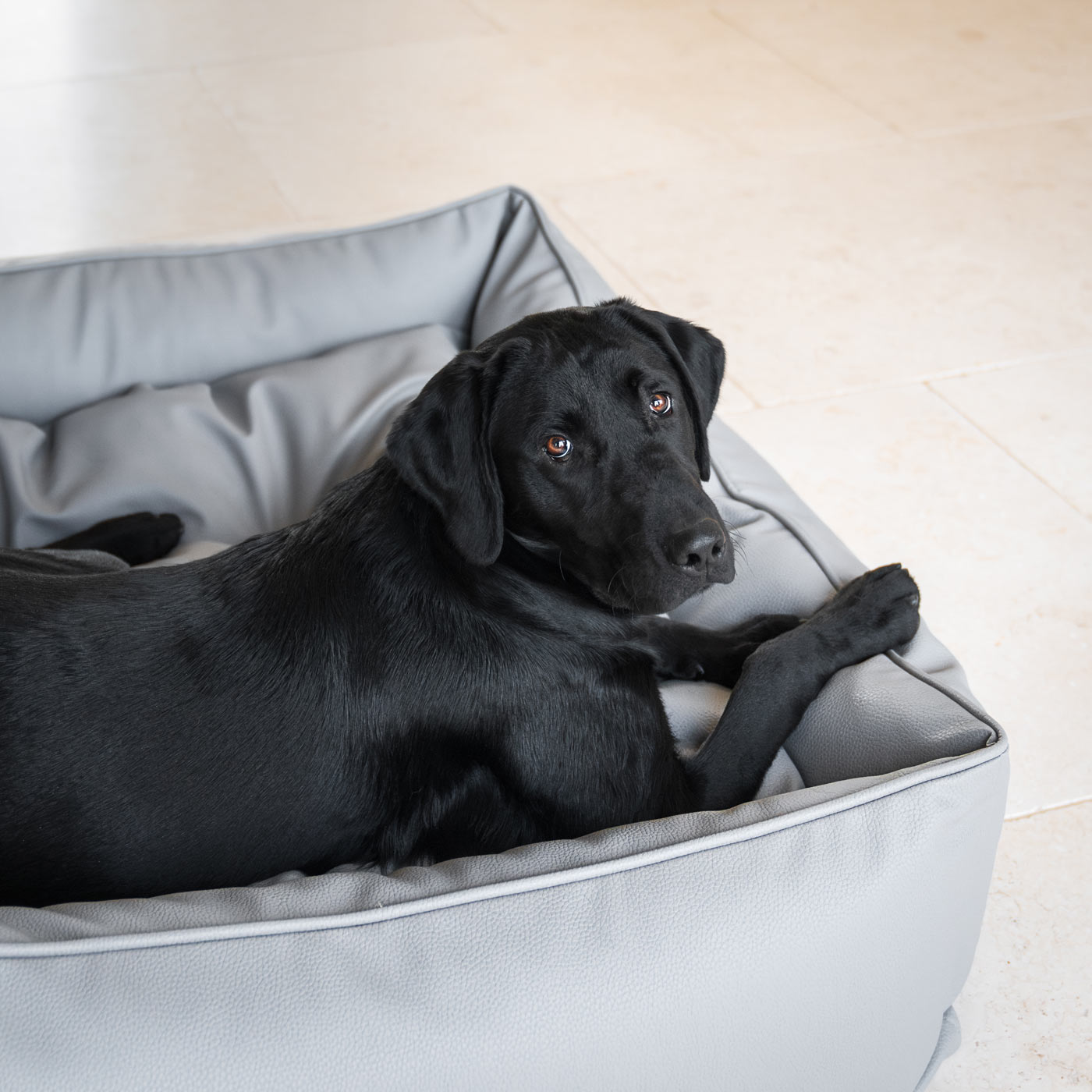Box Bed in Rhino Tough Jungle Faux Leather by Lords & Labradors