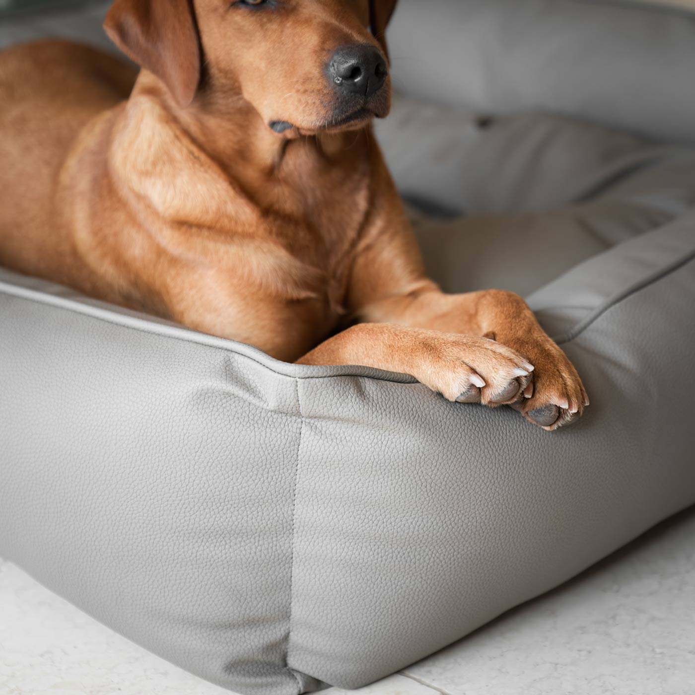 Box Bed in Rhino Tough Desert Faux Leather by Lords & Labradors