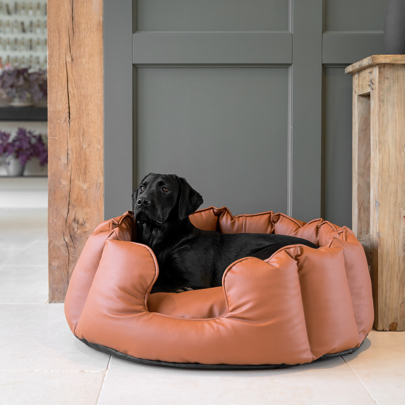 High Wall Bed in Rhino Tough Desert Faux Leather by Lords & Labradors