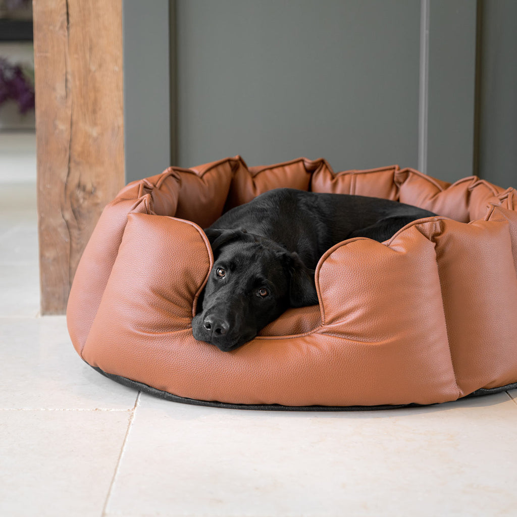 High Wall Bed in Rhino Tough Desert Faux Leather by Lords & Labradors