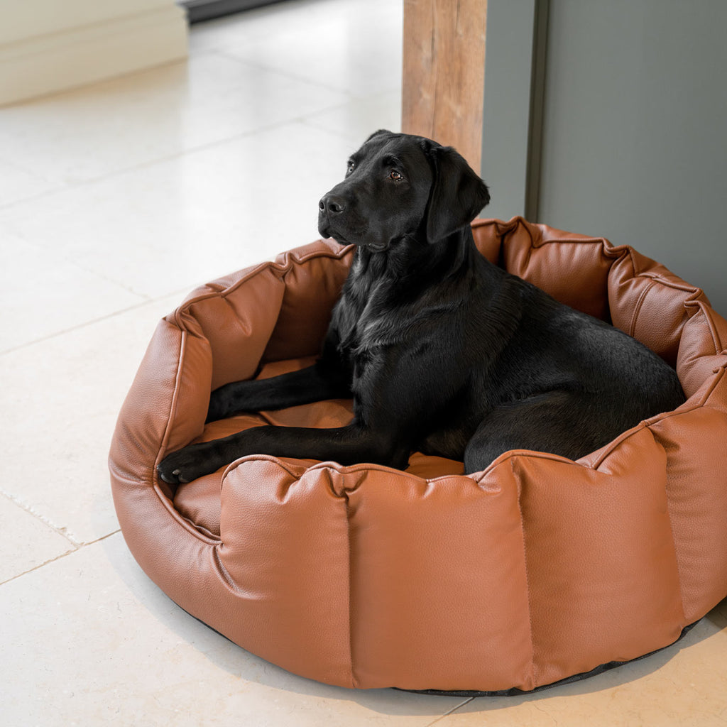 High Wall Bed in Rhino Tough Desert Faux Leather by Lords & Labradors