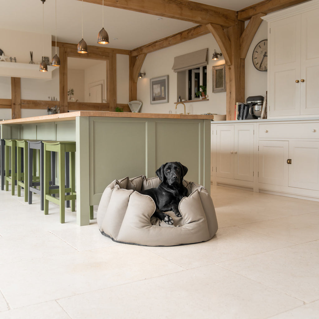 High Wall Bed in Rhino Tough Desert Faux Leather by Lords & Labradors