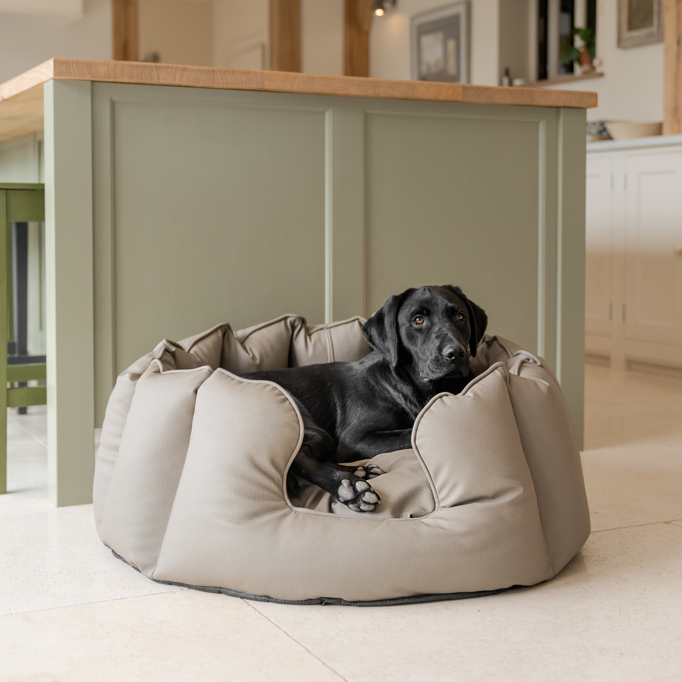 High Wall Bed in Rhino Tough Desert Faux Leather by Lords & Labradors
