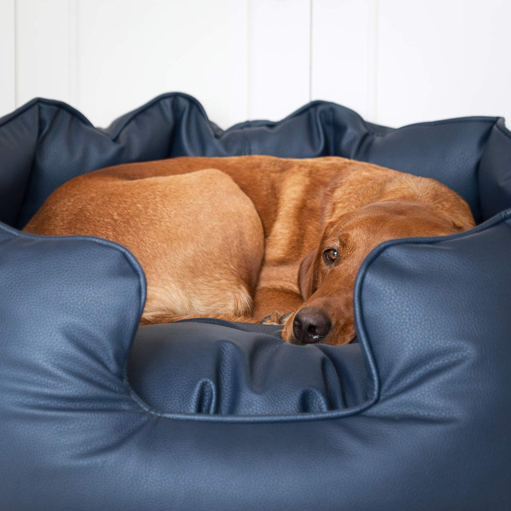 High Wall Bed in Rhino Tough Jungle Faux Leather by Lords & Labradors