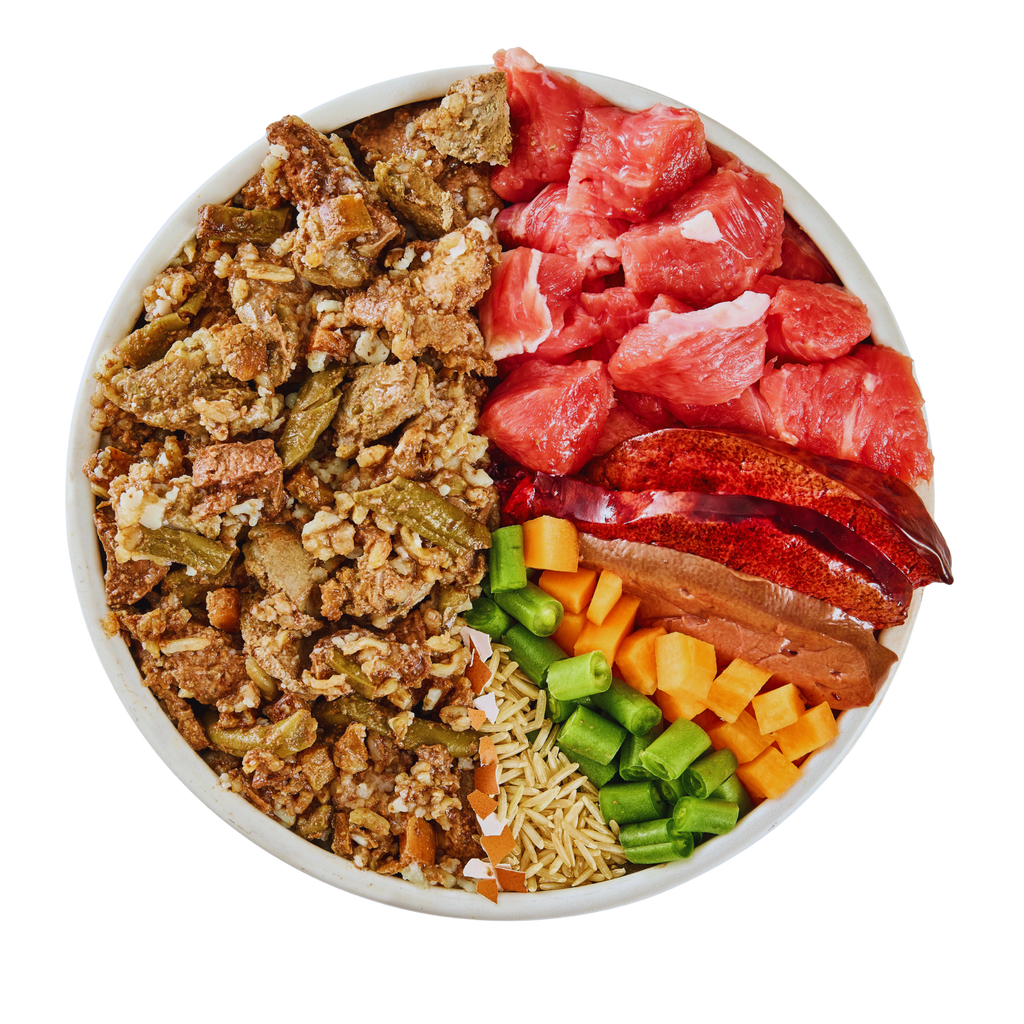 Lamb and Rice Fresh Dog Food