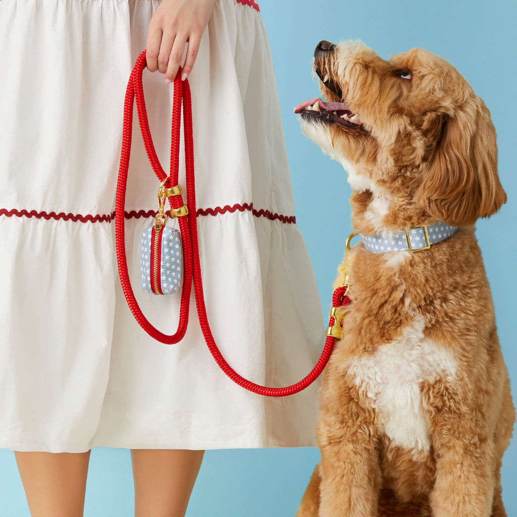 Ruby Marine Rope Dog Leash