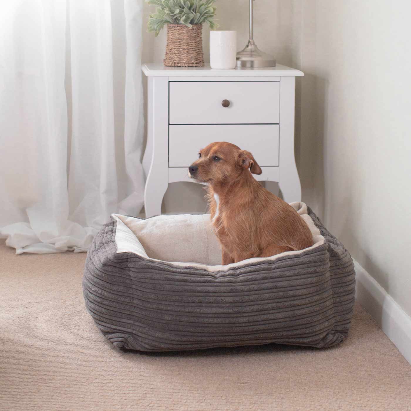 Box Bed For Dogs in Essentials Plush by Lords & Labradors