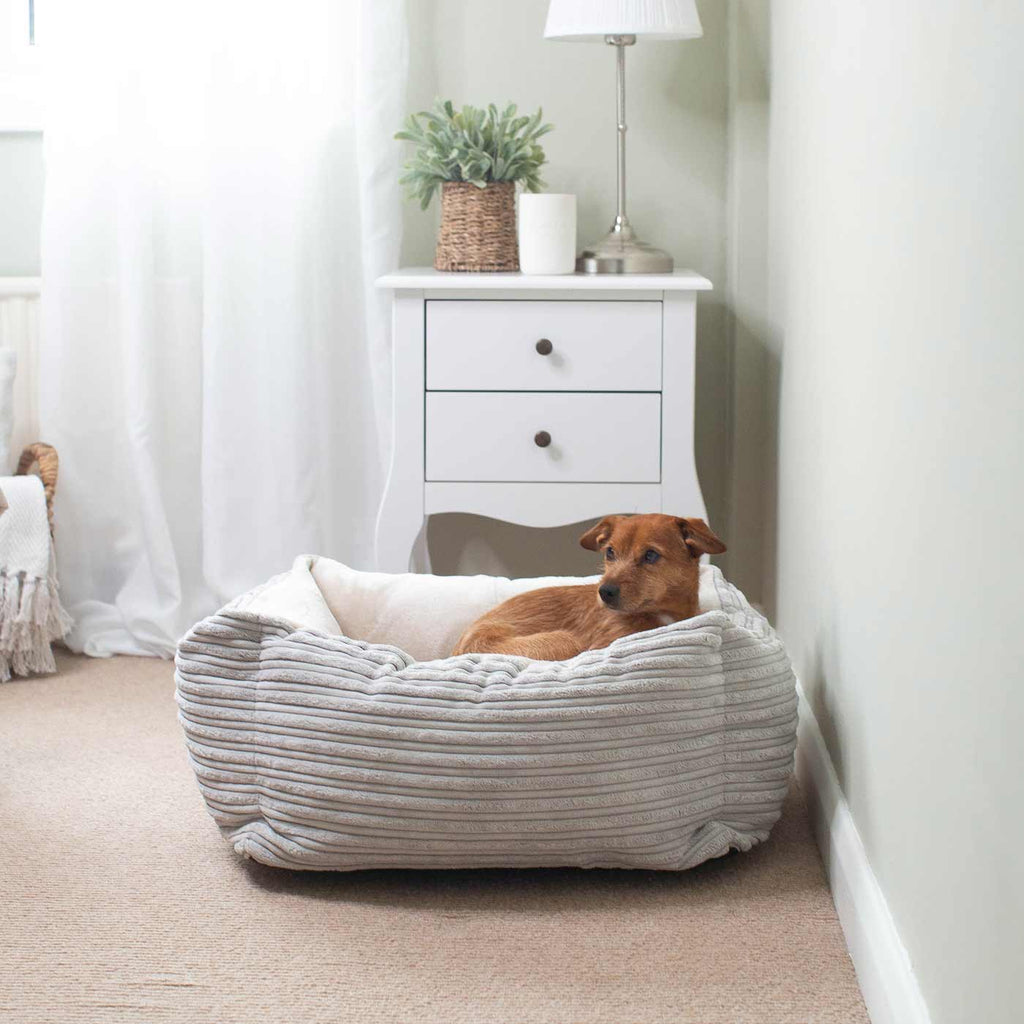 Box Bed For Dogs in Essentials Plush by Lords & Labradors