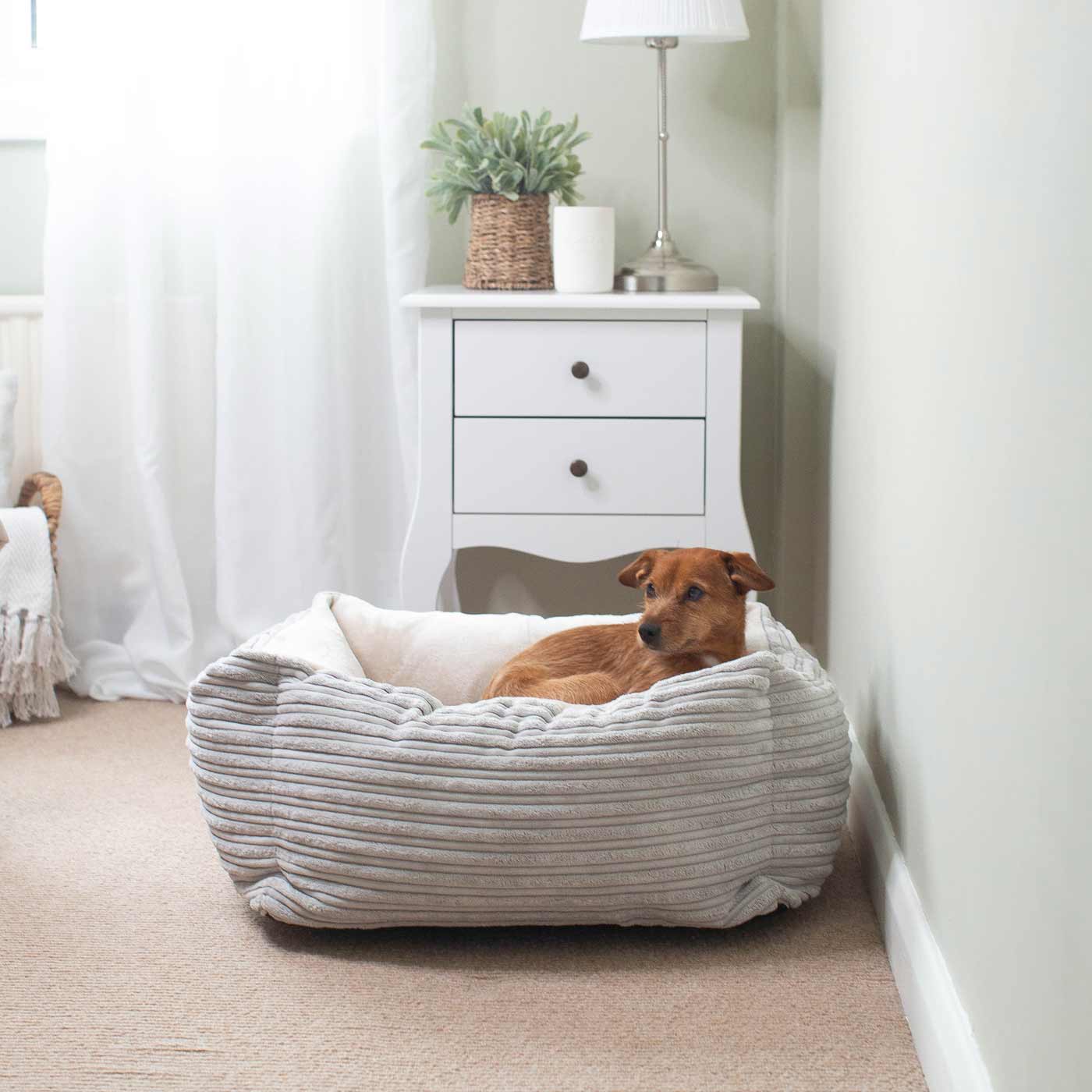 Box Bed For Dogs in Essentials Plush by Lords & Labradors