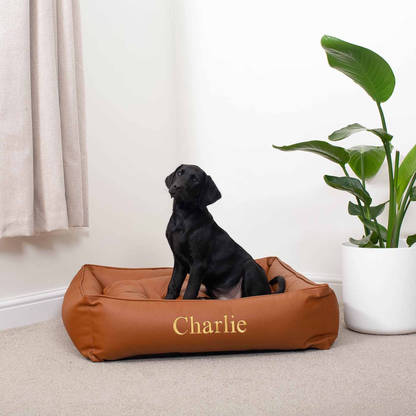 Box Bed in Rhino Tough Desert Faux Leather by Lords & Labradors