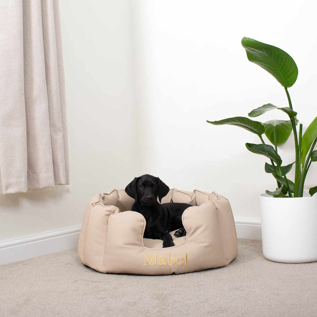 High Wall Bed in Rhino Tough Desert Faux Leather by Lords & Labradors