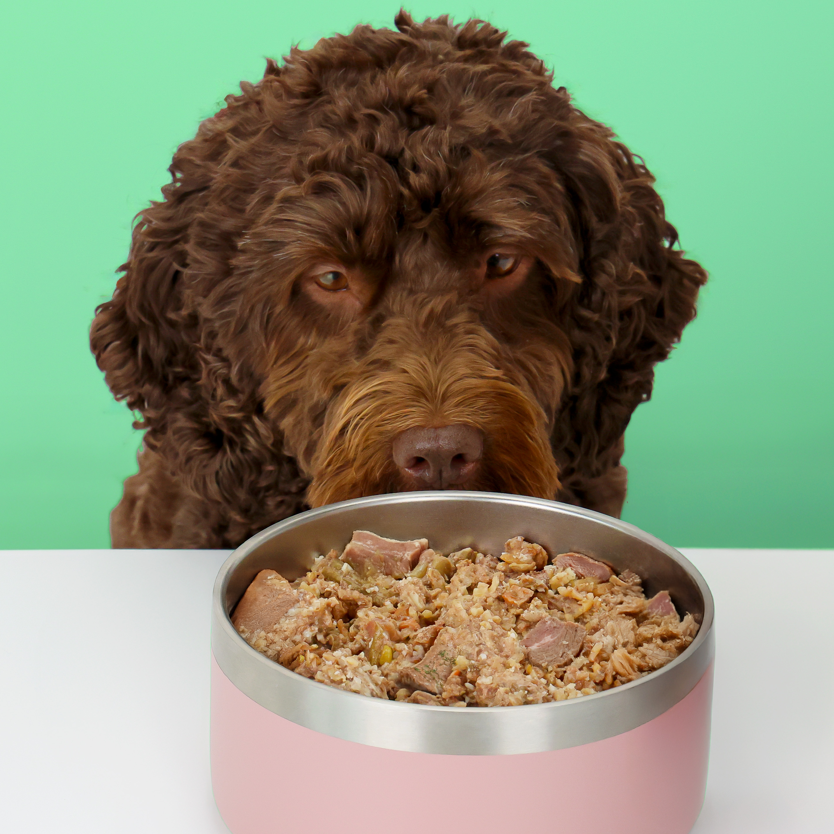 Turkey Fresh Dog Food