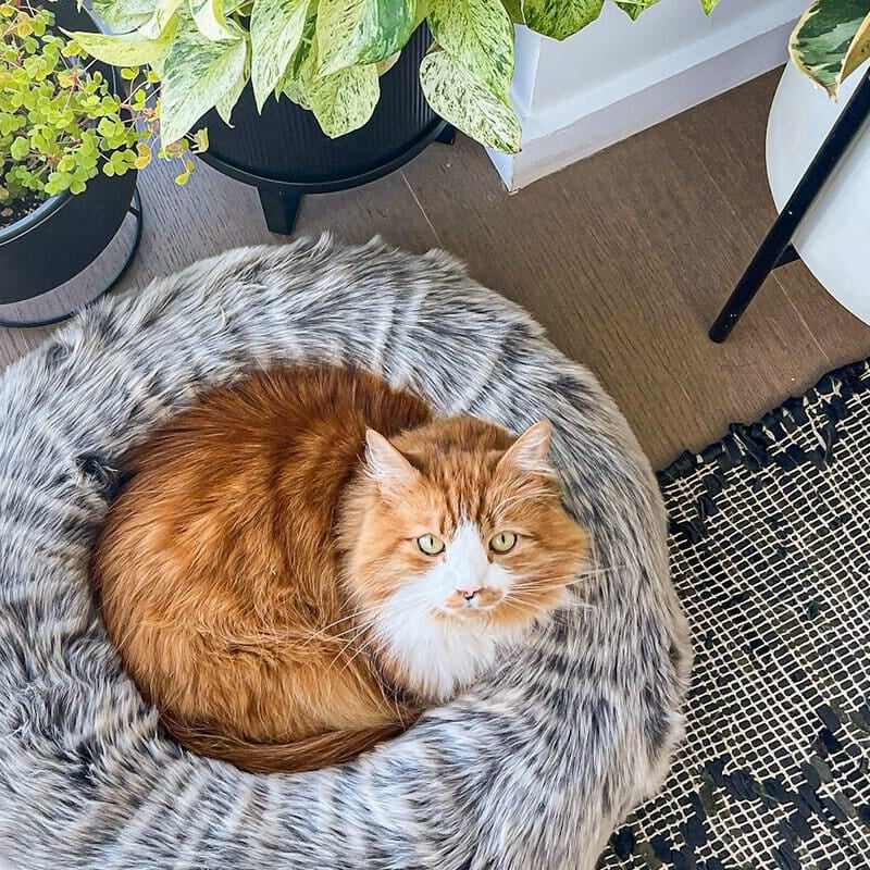 Nuzzle Cat Bed