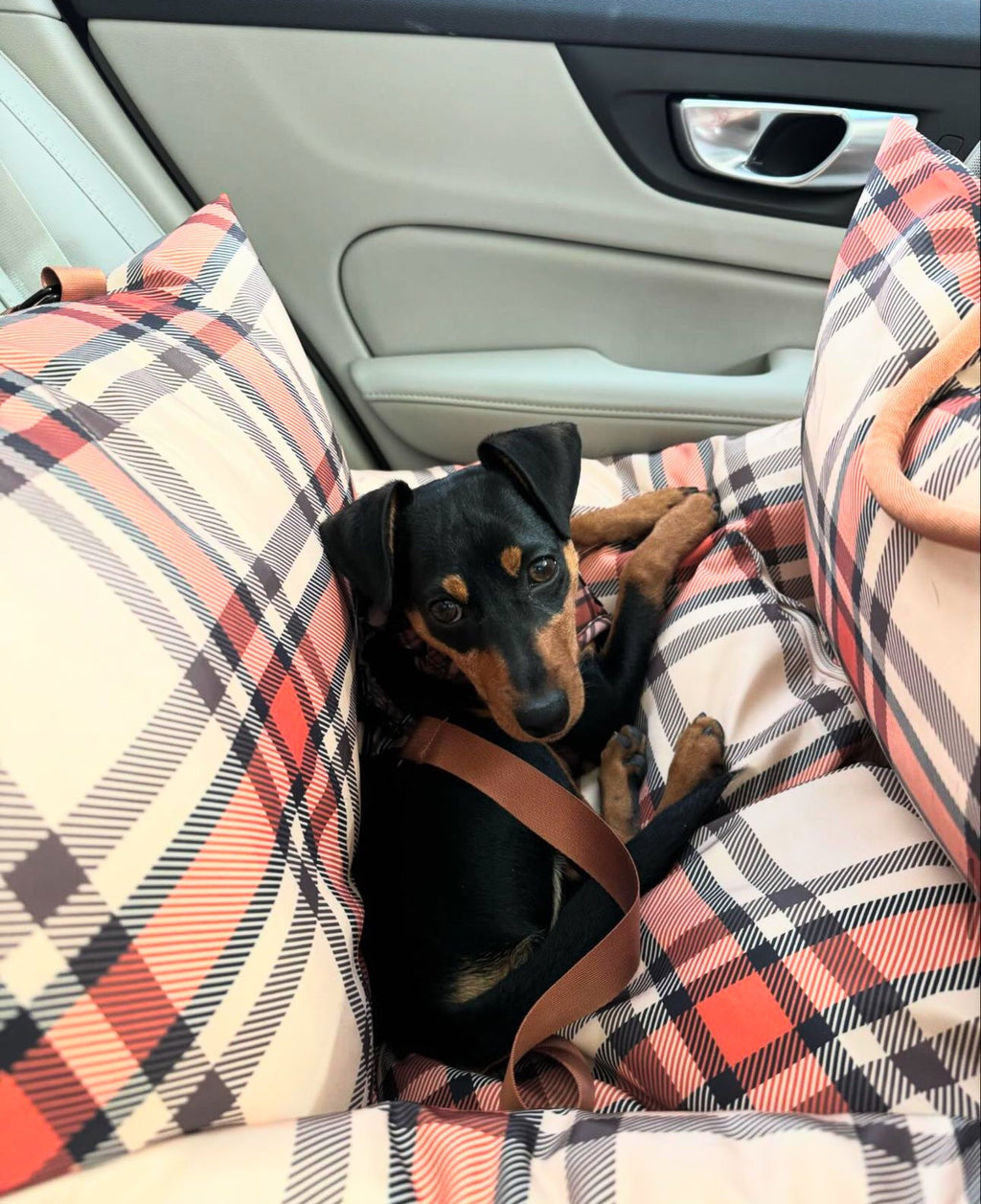 Deluxe Travel Car Bed: Kensington