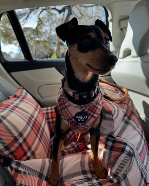 Deluxe Travel Car Bed: Kensington