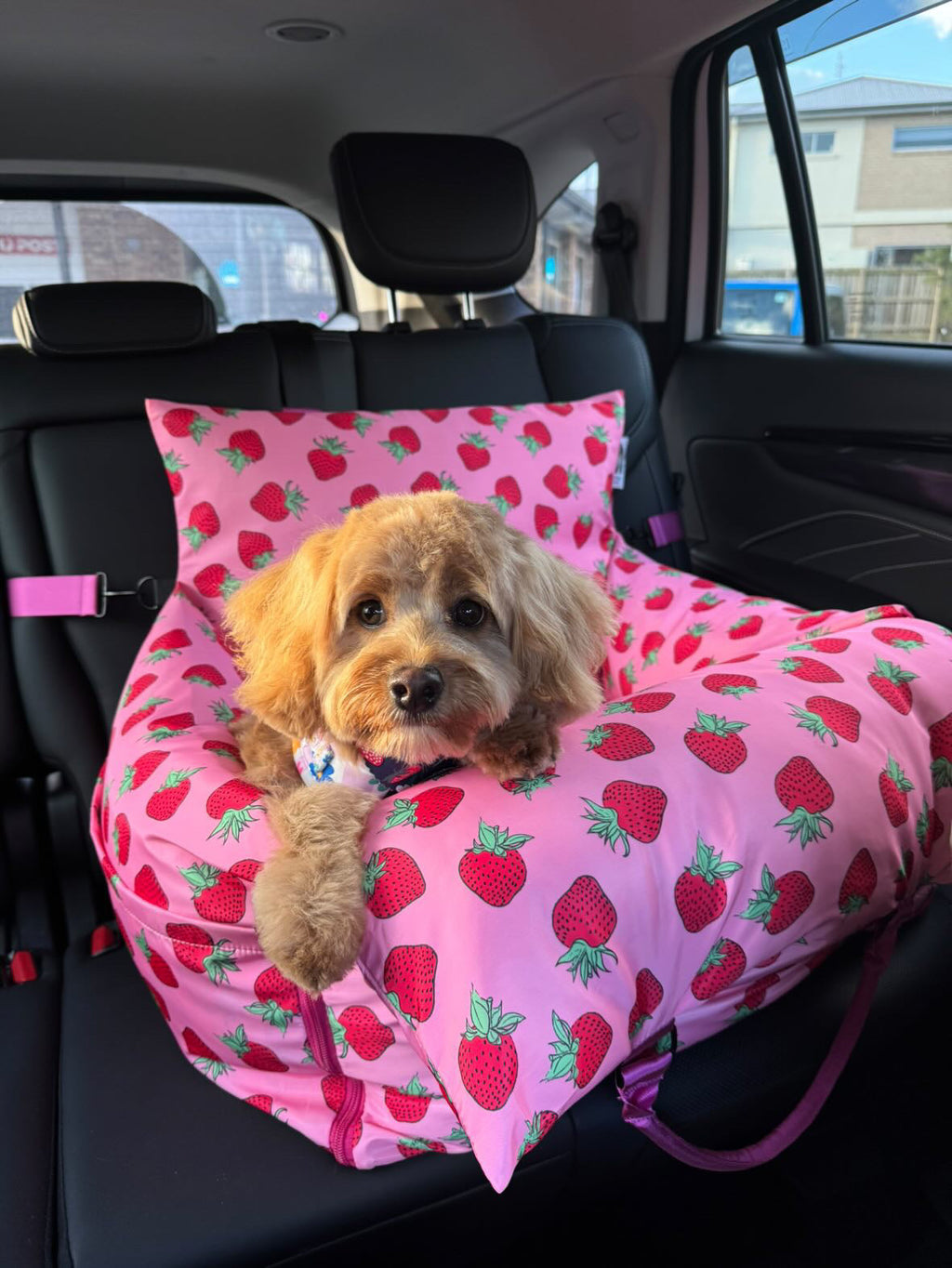 Deluxe Travel Car Bed: Strawberries