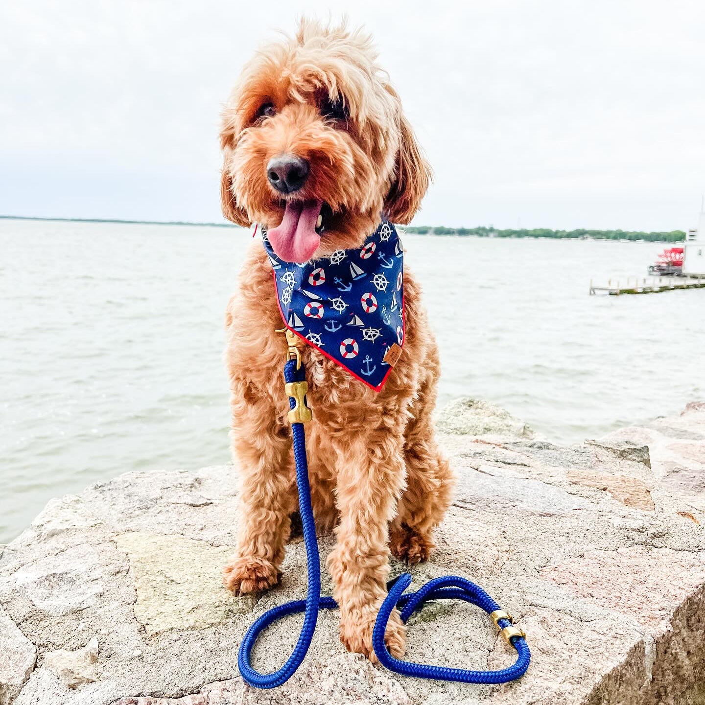 Ocean Marine Rope Dog Leash