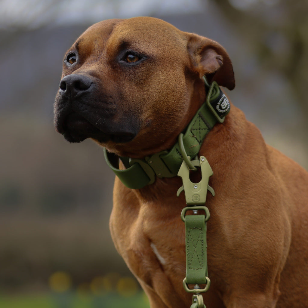 1.4m Billowthane® Swivel Lead | Waterproof - Matte Khaki