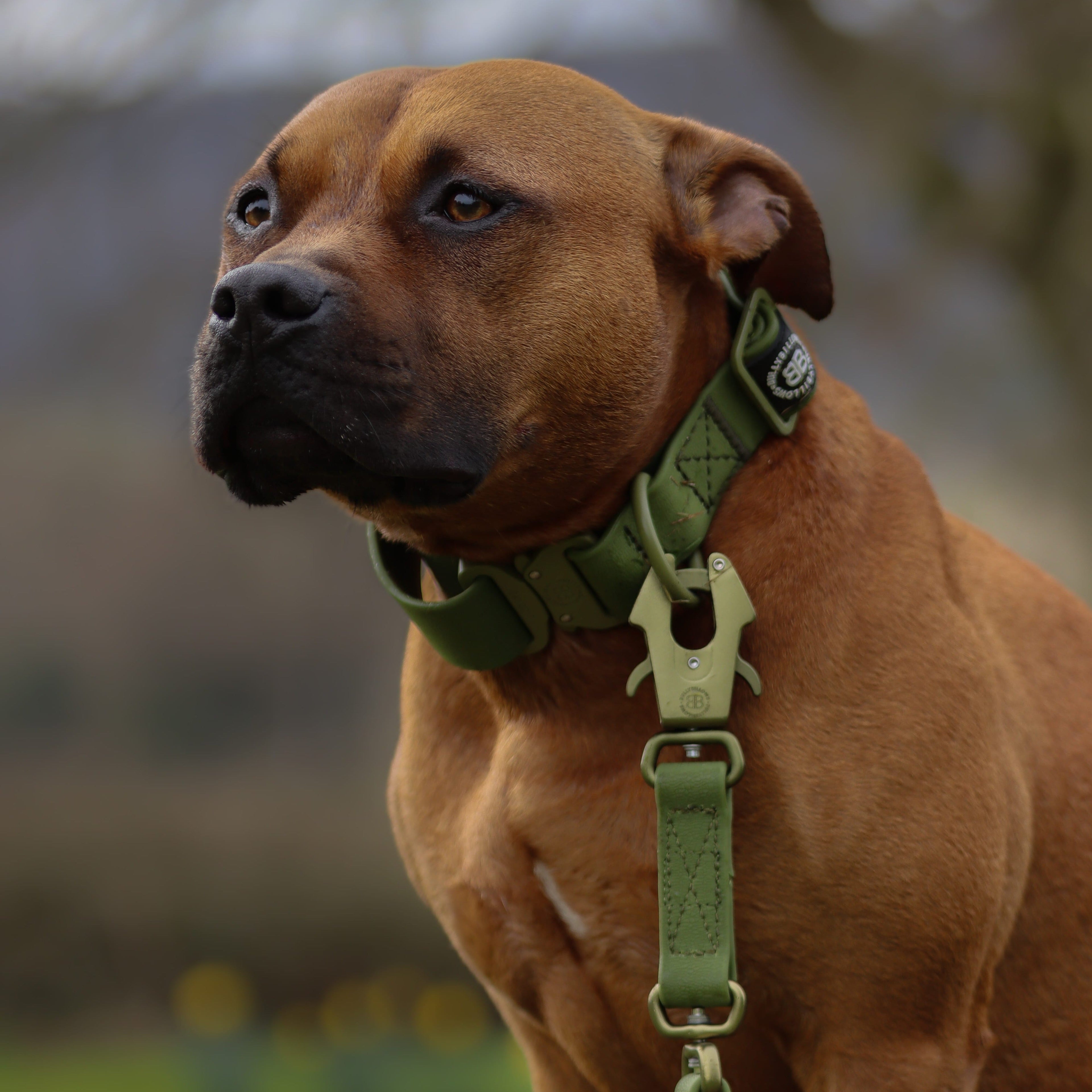 1.4m Billowthane® Swivel Lead | Waterproof - Matte Khaki