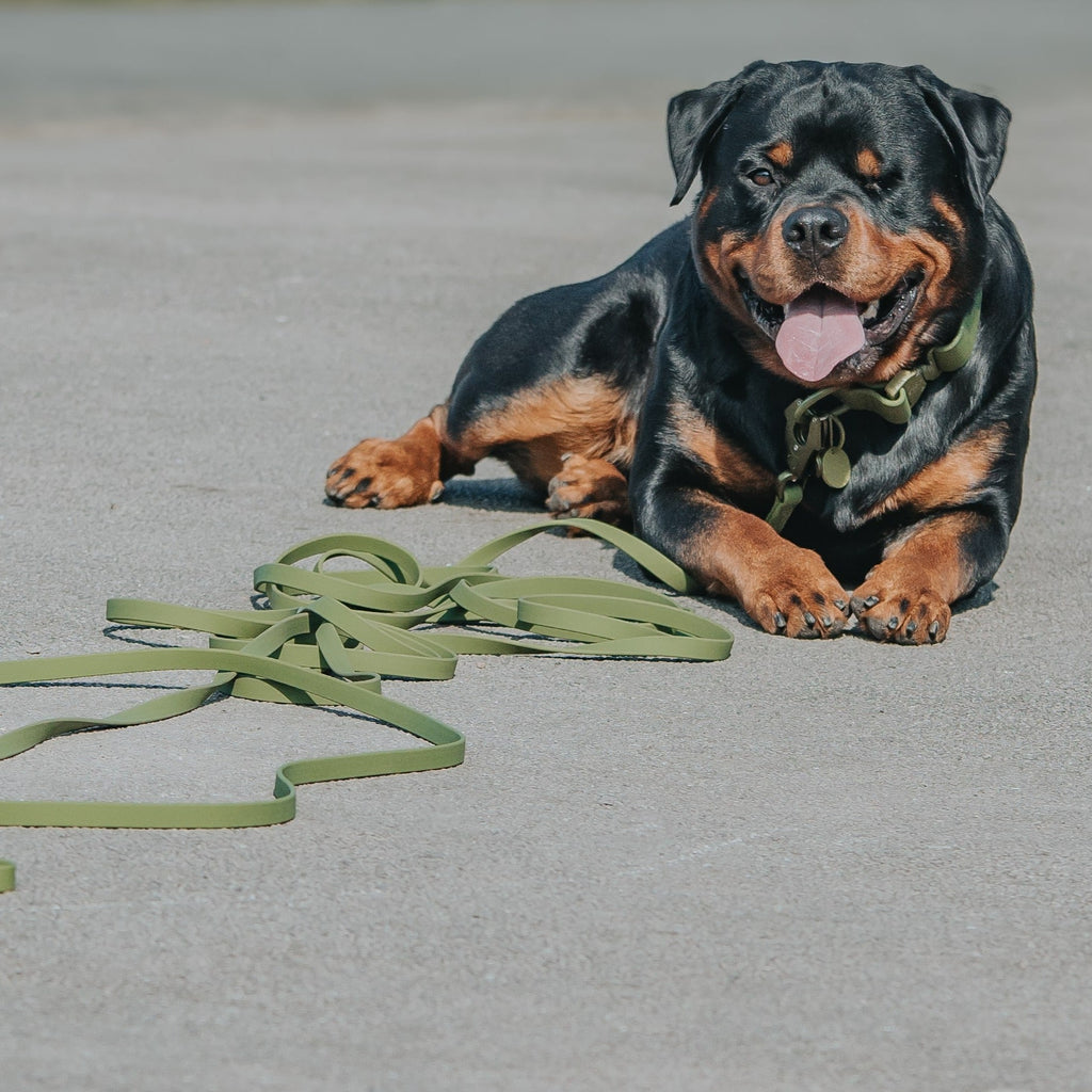 10m Recall Billowthane® Lead | Waterproof - Matte Khaki