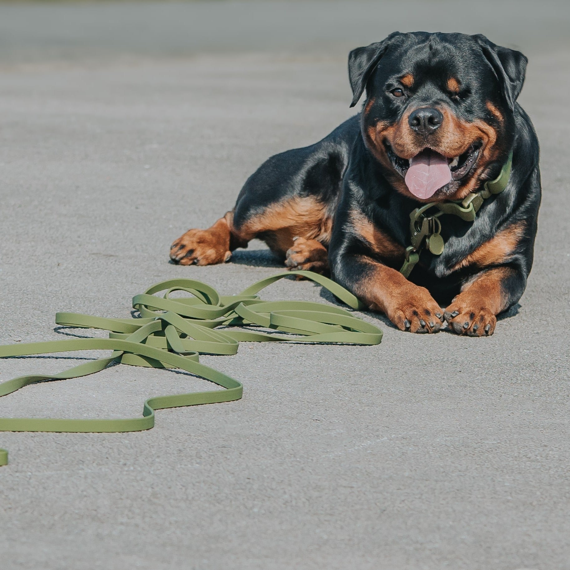 10m Recall Billowthane® Lead | Waterproof - Matte Khaki