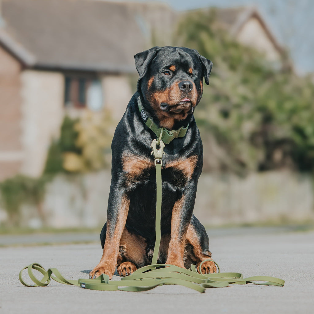 10m Recall Billowthane® Lead | Waterproof - Matte Khaki