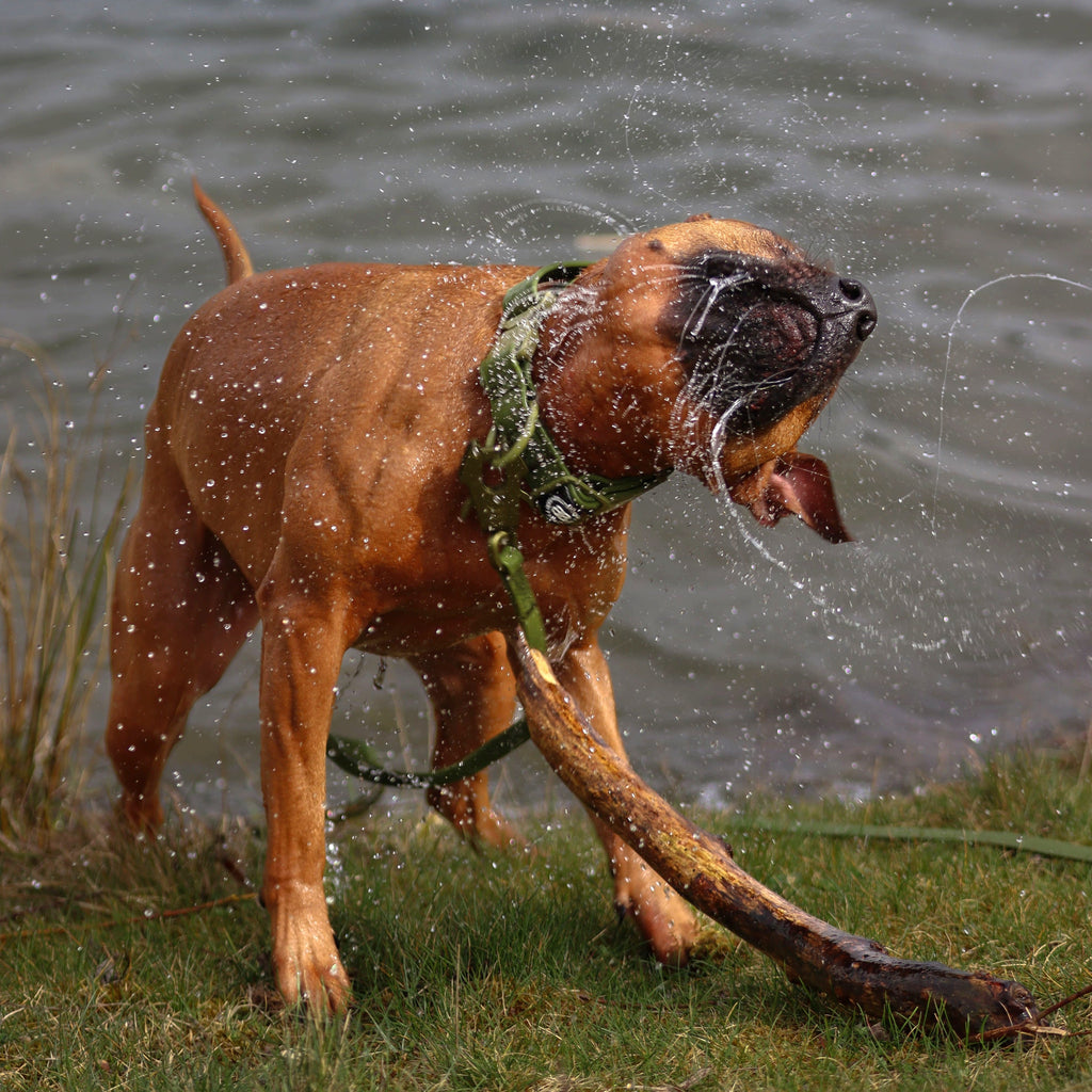 1.4m Billowthane® Swivel Lead | Waterproof - Matte Khaki