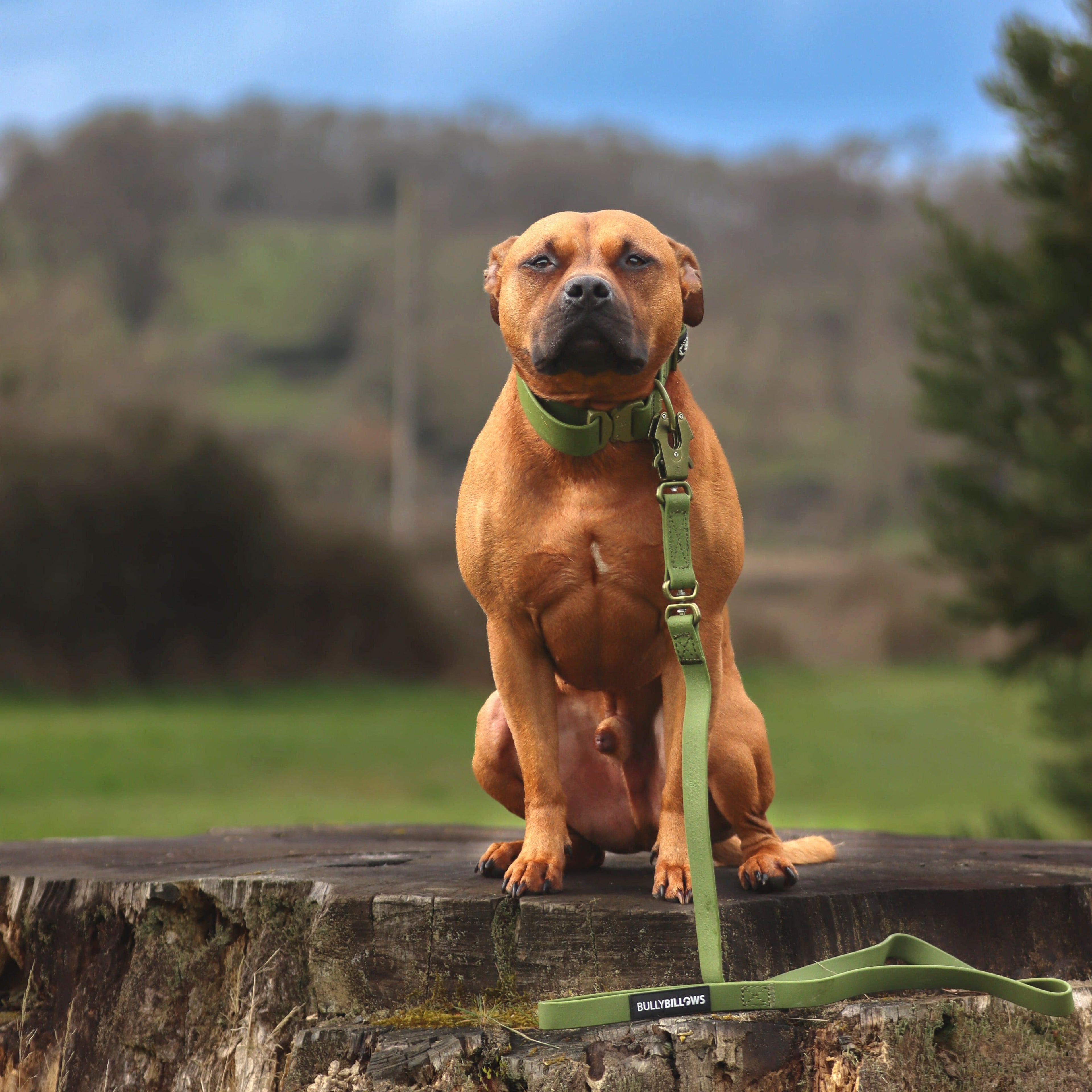 1.4m Billowthane® Swivel Lead | Waterproof - Matte Khaki