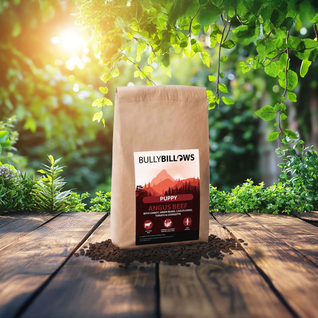 Angus Beef Dry Super Food - Puppy