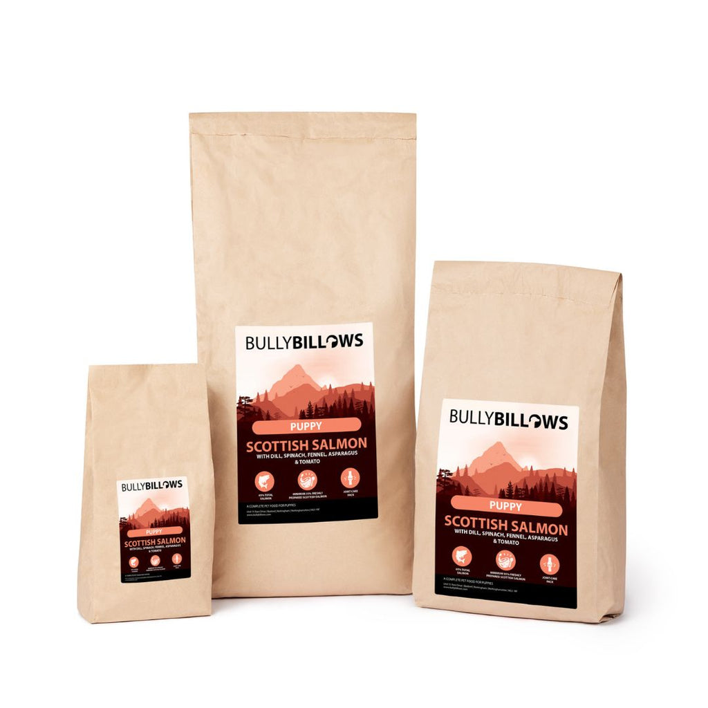 Scottish Salmon Dry Super Food - Puppy