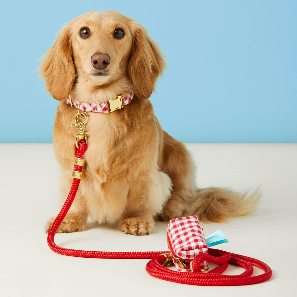 Ruby Marine Rope Dog Leash