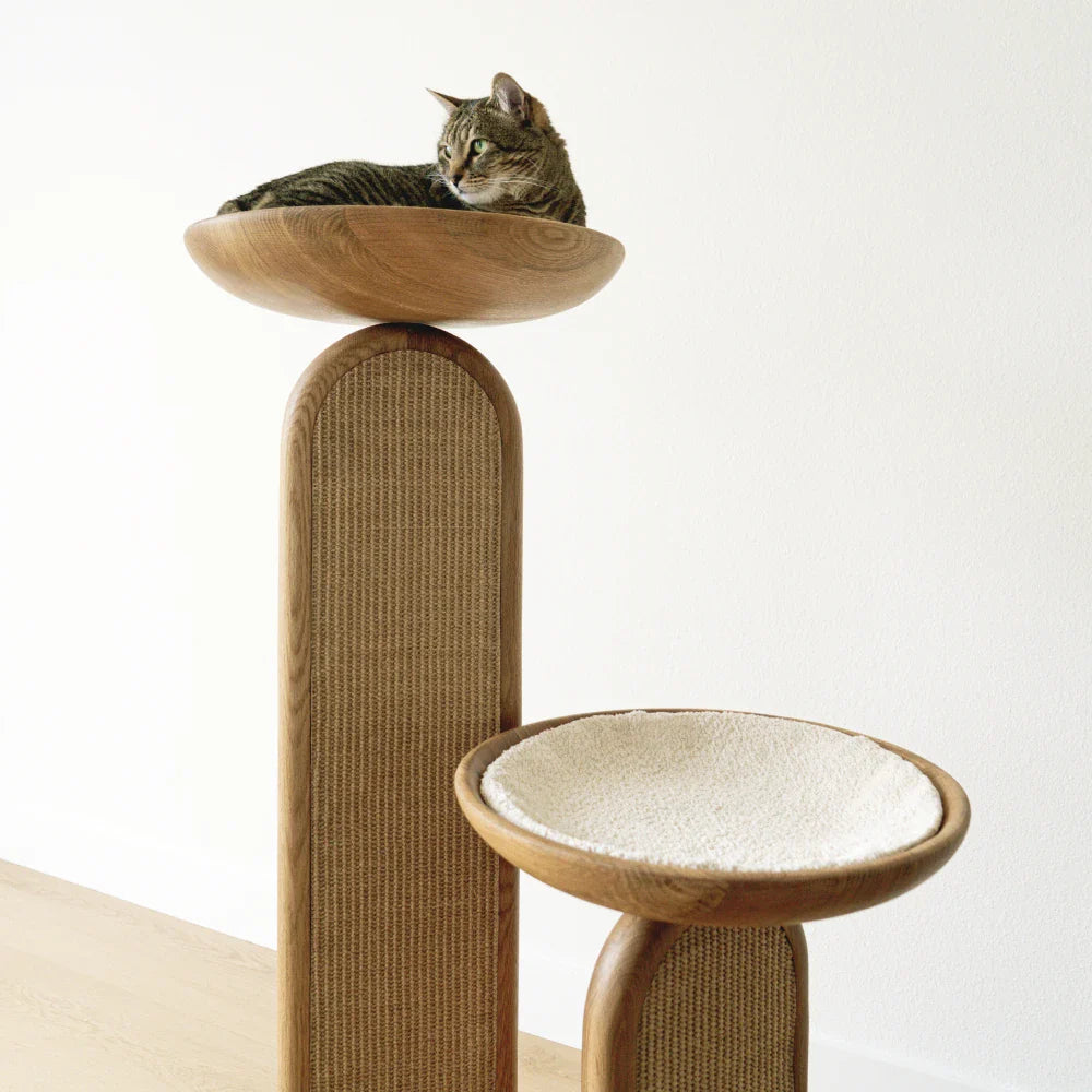 2x Scratching Pads (For Gravity)