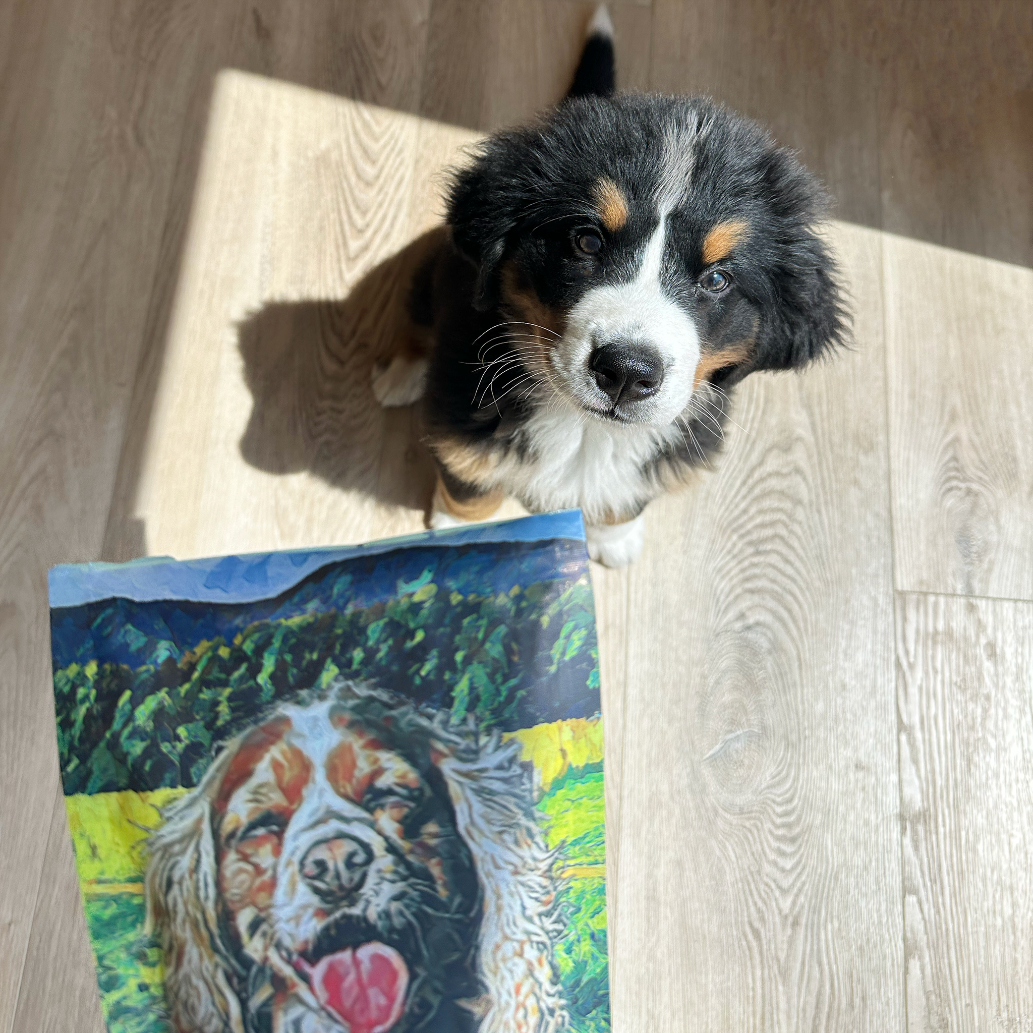 3 Pack Fresh Patch Treats