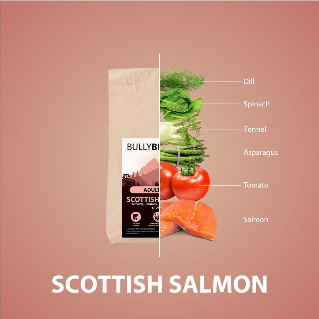Scottish Salmon Dry Super Food - Puppy