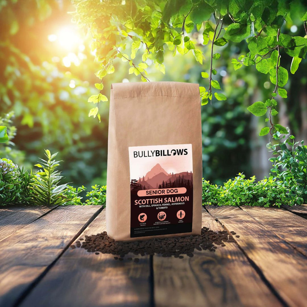 Scottish Salmon Dry Super Food - Senior