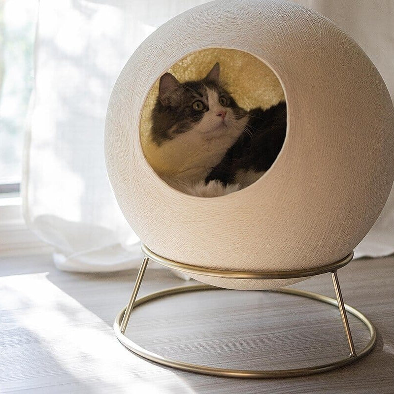Stellar Cat Bed
