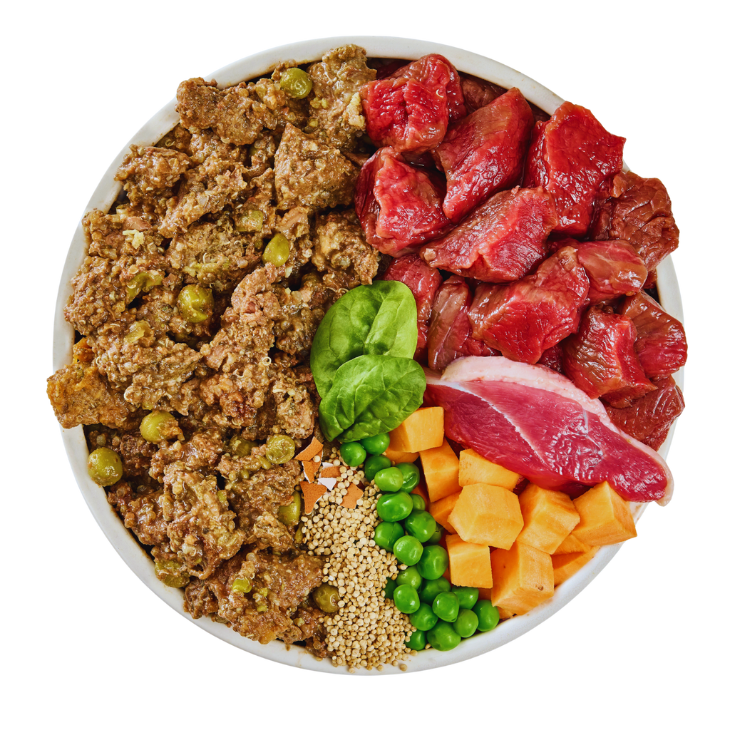 Venison and Duck Fresh Dog Food