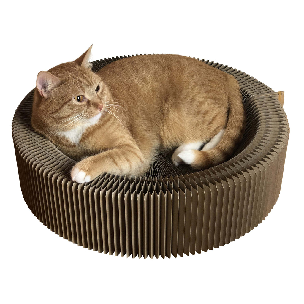 The Accordion Travel Cardboard Bed & Scratcher