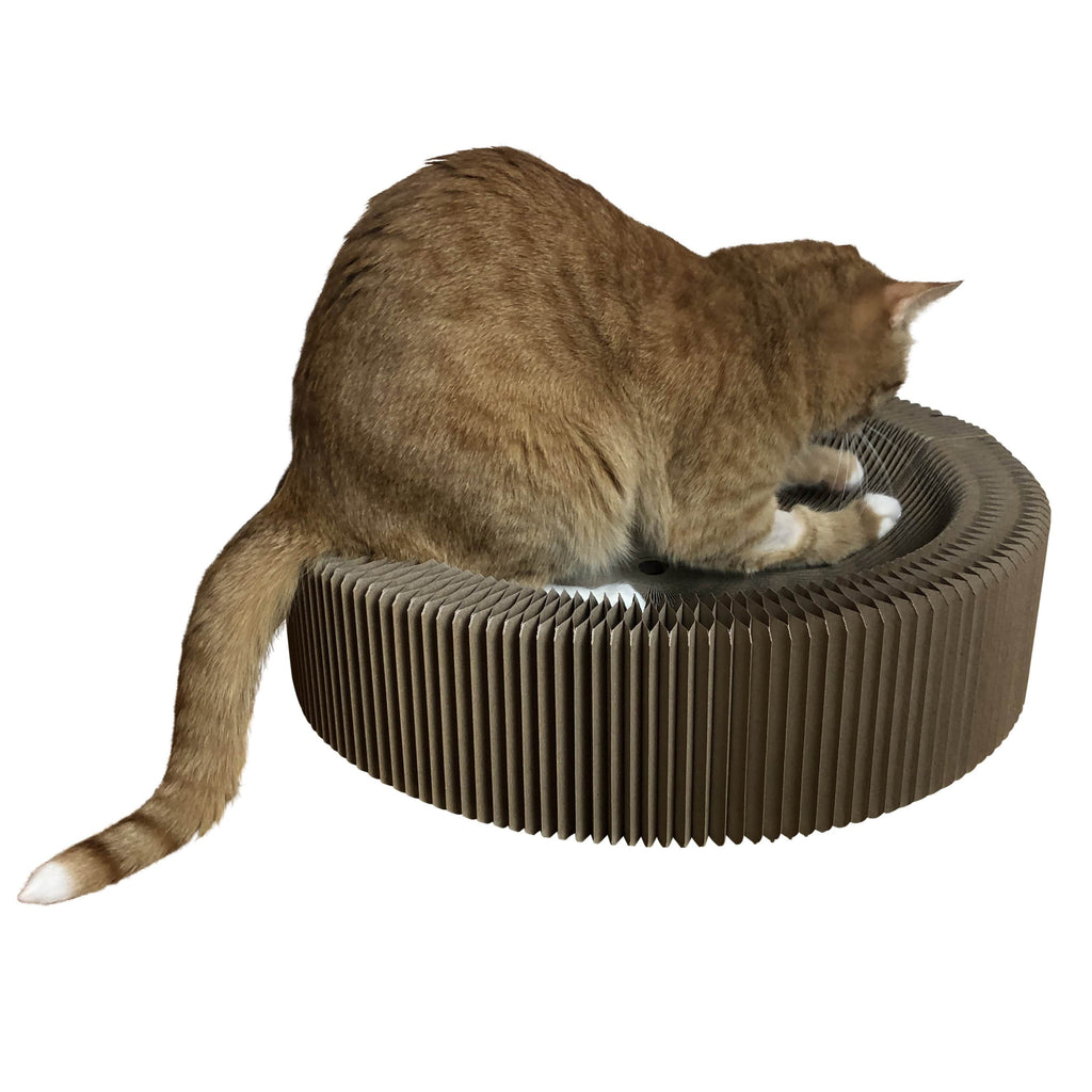 The Accordion Travel Cardboard Bed & Scratcher
