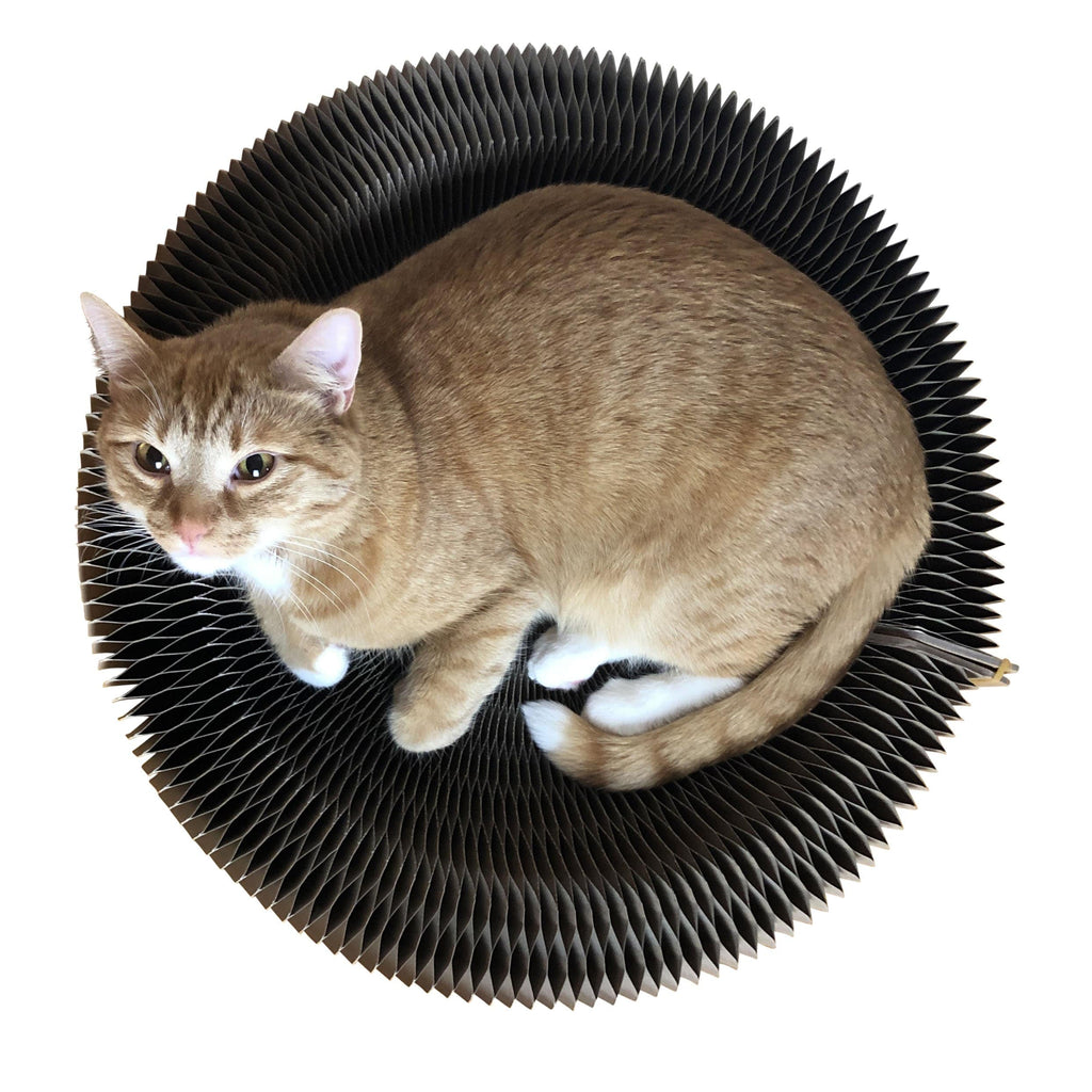The Accordion Travel Cardboard Bed & Scratcher