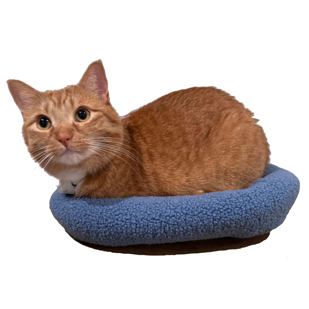 The Kitty Cushion Cat Backpack Bed
