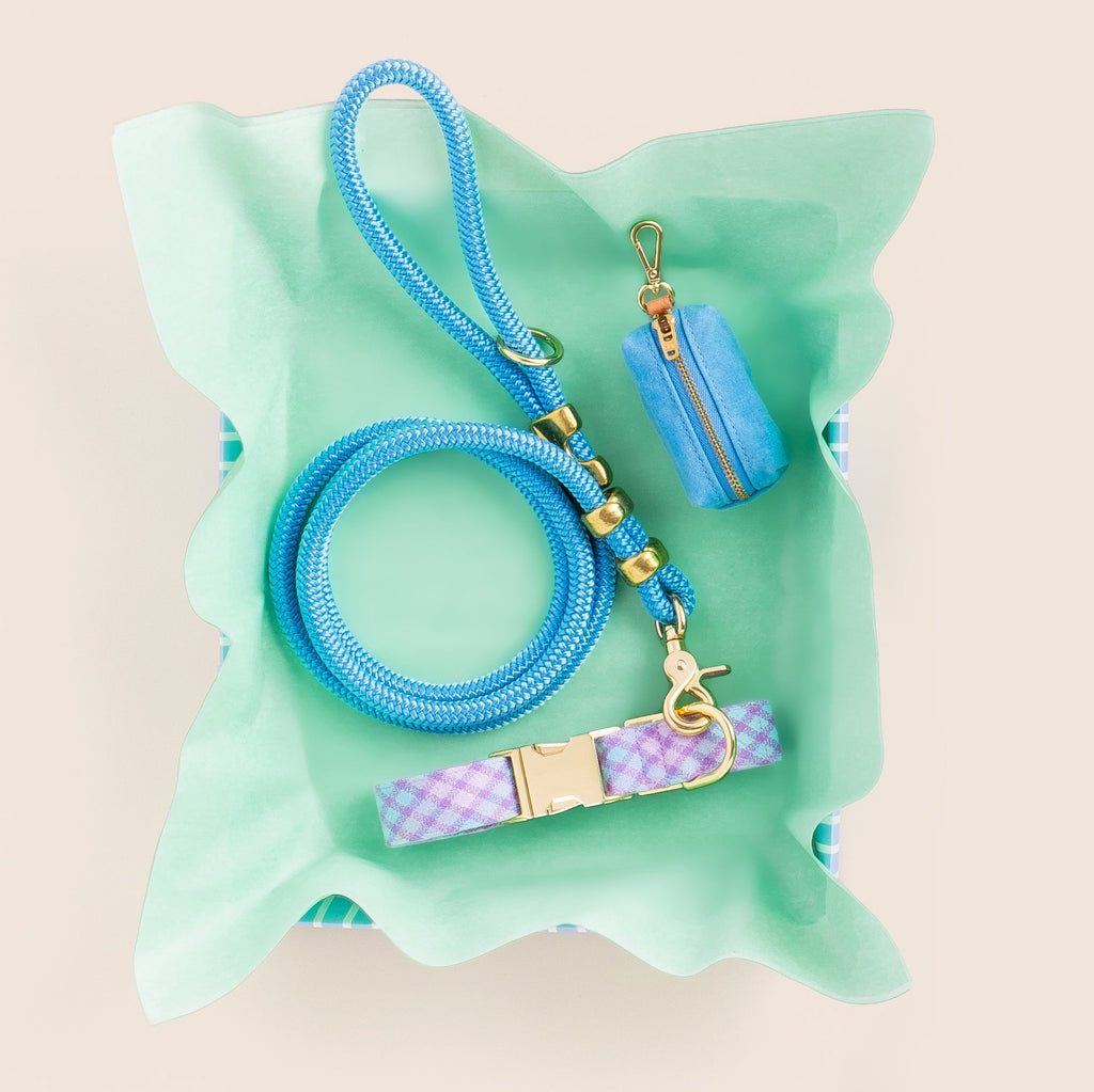 Powder Blue Marine Rope Dog Leash