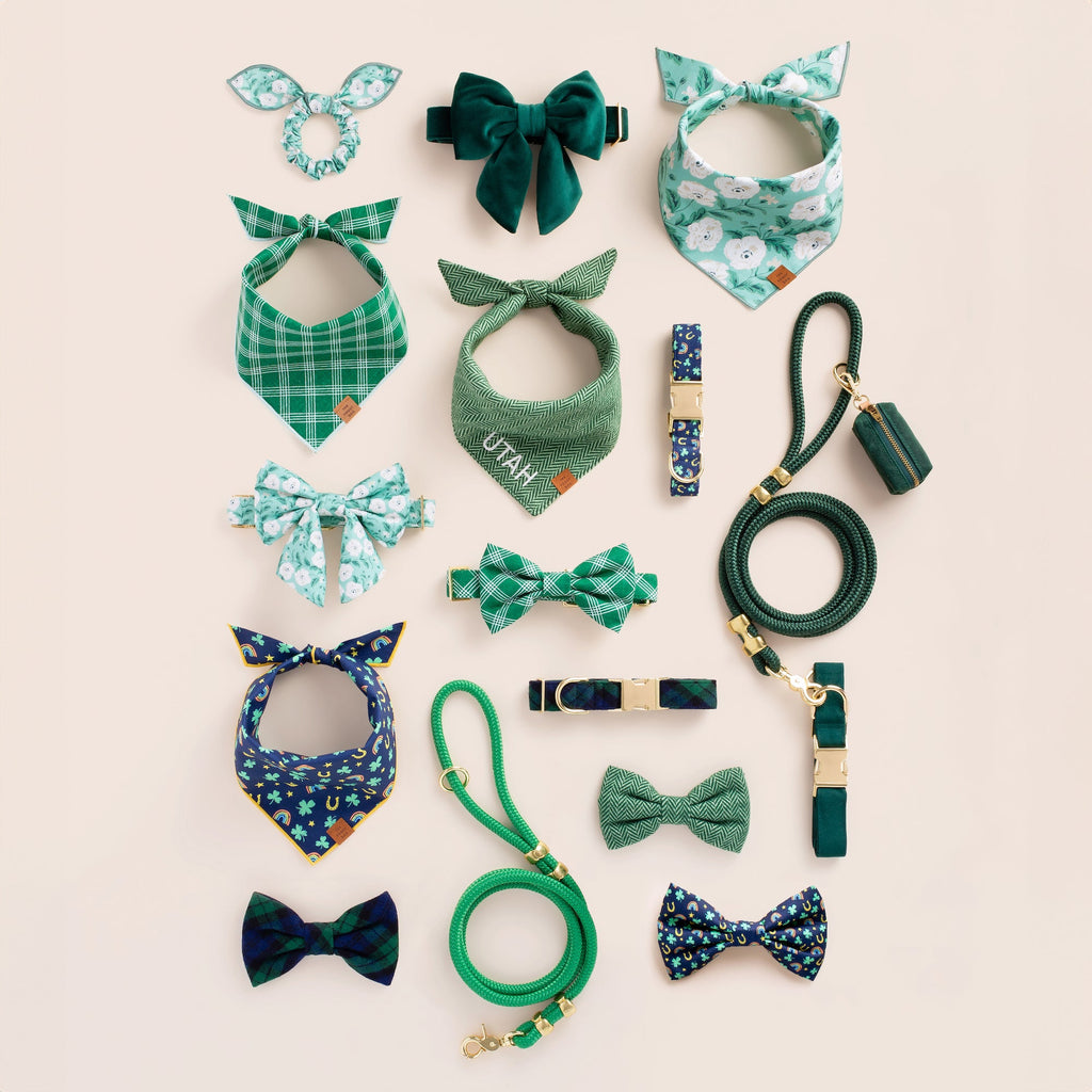 Grass Green Marine Rope Dog Leash