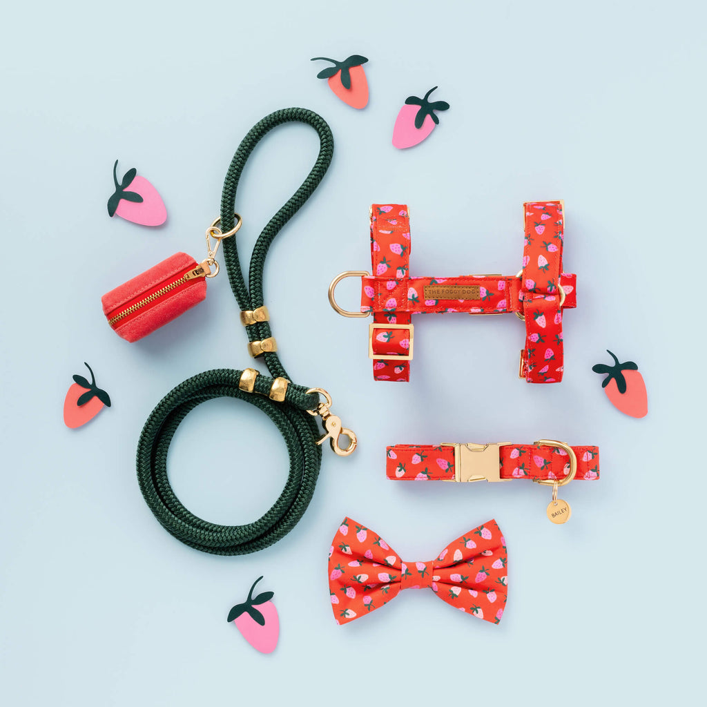 Evergreen Marine Rope Dog Leash