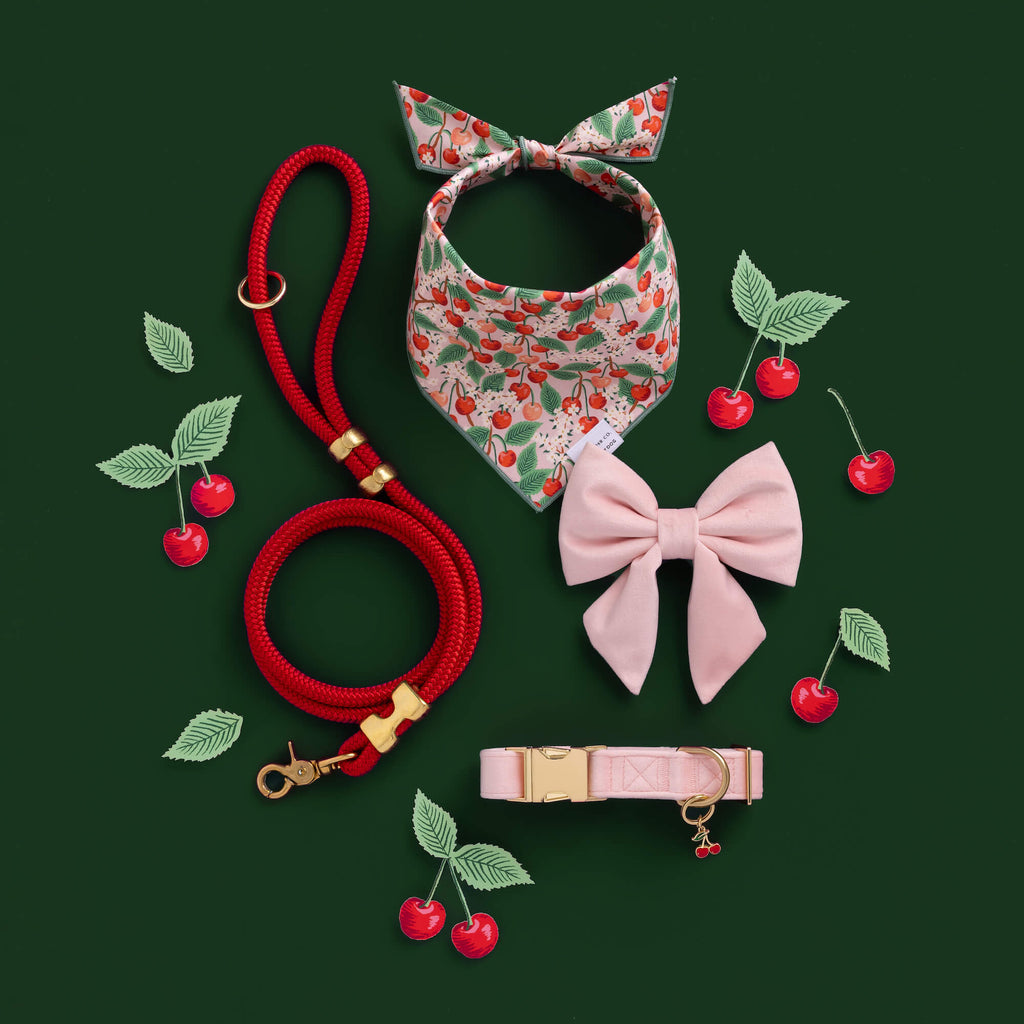 Ruby Marine Rope Dog Leash