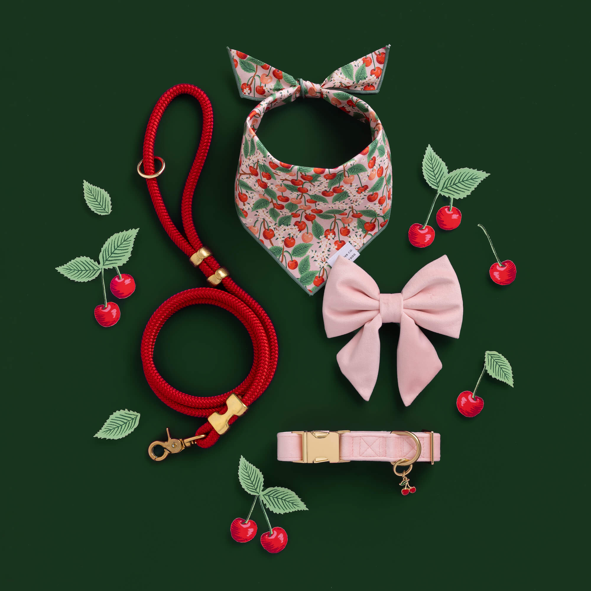 Ruby Marine Rope Dog Leash