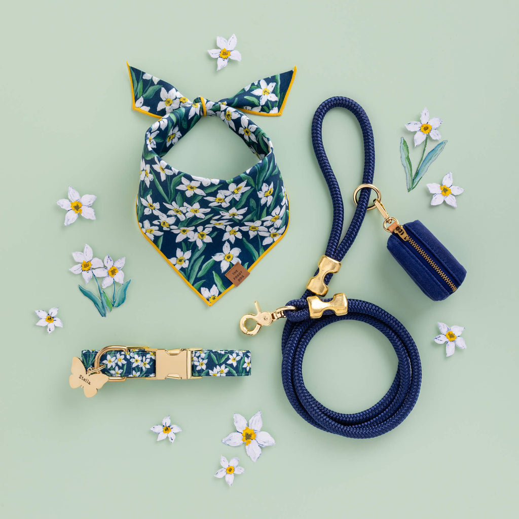 Ocean Marine Rope Dog Leash