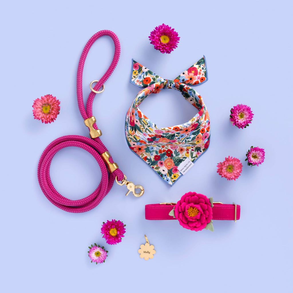 Hot Pink Marine Rope Dog Leash