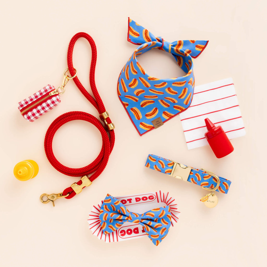 Ruby Marine Rope Dog Leash