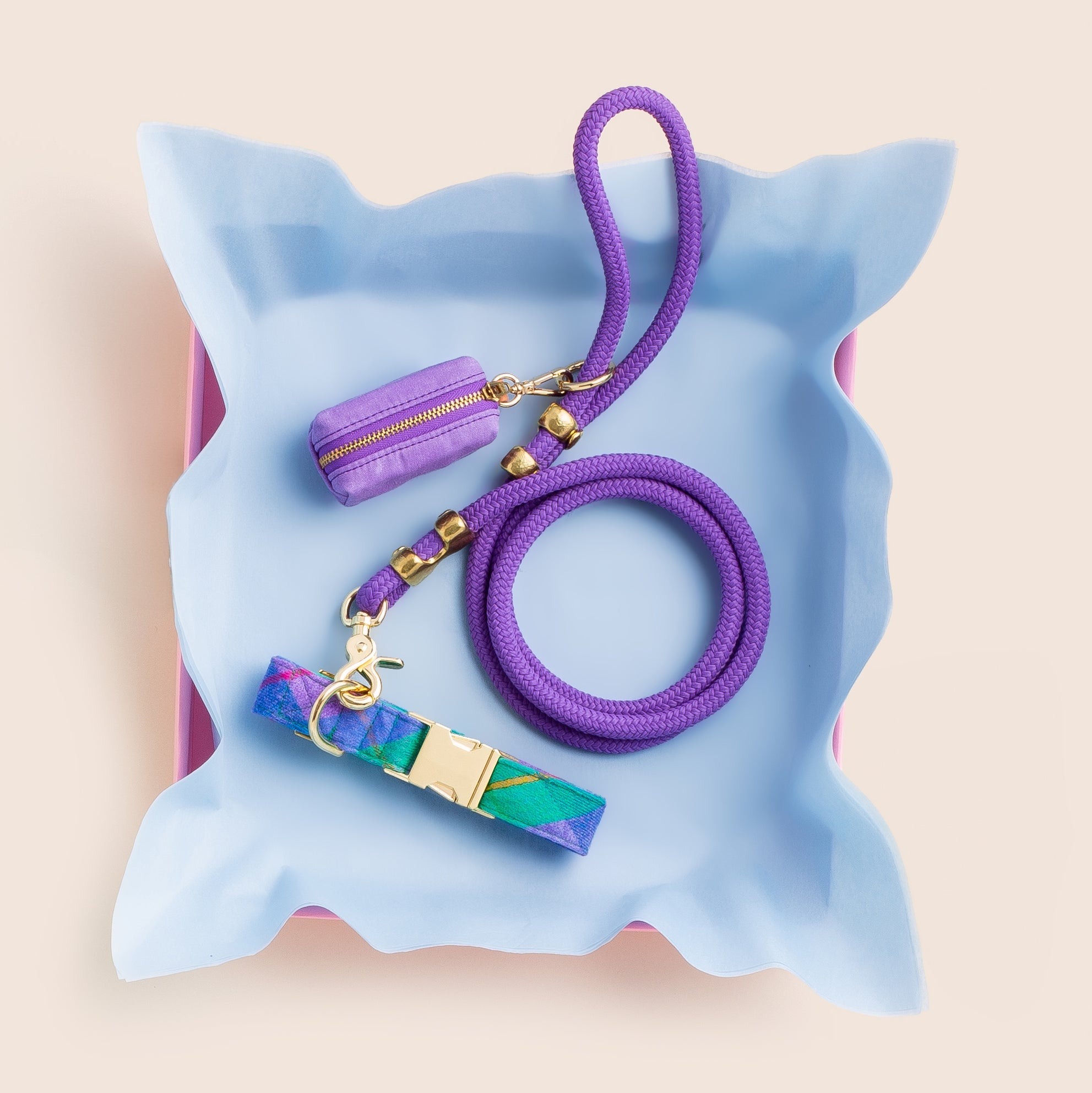 Violet Marine Rope Dog Leash